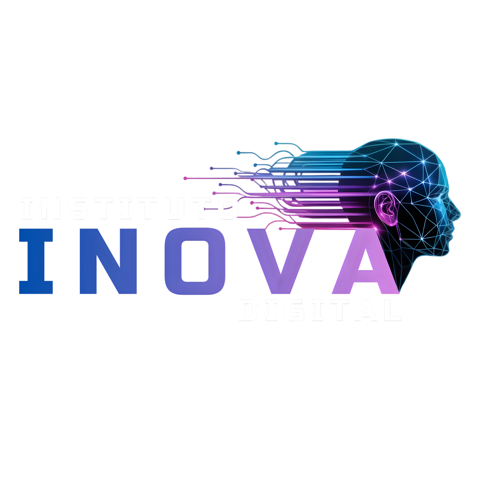 Instituto Inova Digital